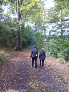 Un agradable y tranquilo paseo por el bosque